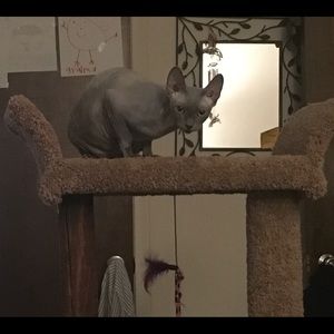 Meet your Posher, Tonia